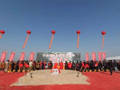 仿古建筑設(shè)計與施工流程解析，每一步都是匠心沉淀